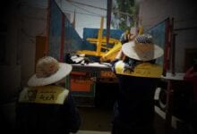 بارگیری-دستگاه-گرمخانه-پازیریک