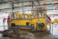 قالیشویی-فرش-قرمز-قالویشویی-پازیریکی