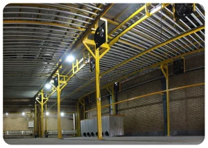 سالن گرمخانه فرش