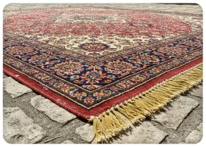 زرد شدن ریشه فرش